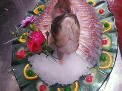 -清真军邺·金富苑肥牛(石坡街旗舰店)