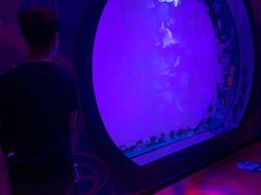 -沈阳海洋探索中心