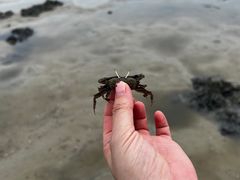 -红树林天天赶海