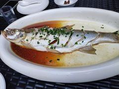 -樟树底(胜利河美食街店)