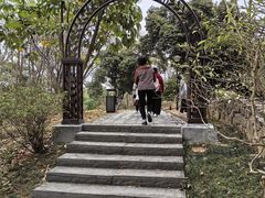 -东莞植物园