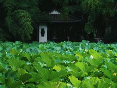 -包公祠