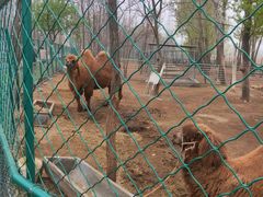 -大连铭湖国际观光牧场