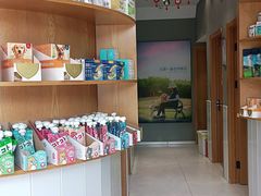 -关爱宠物医院·猫科中心·消化科(滨湖万达分院)