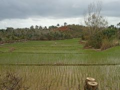 -海南热带雨林国家公园吊罗山景区