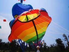 -西涌国际滨海旅游区