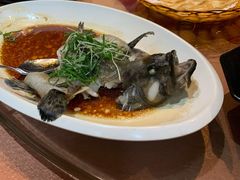 清蒸老虎斑-鹅城