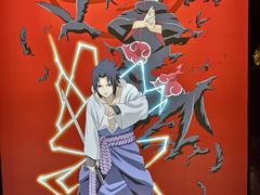 -火影忍者动画多媒体展