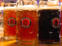 -宝莱纳啤酒花园餐厅PAULANER BRAUHAUS Nanjing(广州路店)