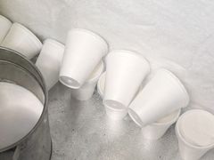 -洪馨椰子