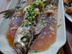 清蒸白水鱼-下塘街25号农家菜馆(新场店)