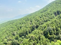 -铁山坪森林公园