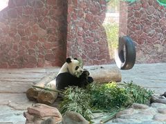-黔灵山公园