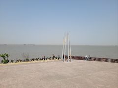 -上海滨江森林公园