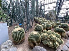 -南山植物园