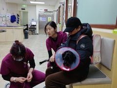 -美联众合动物医院·24h转诊中心