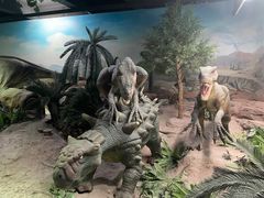 -国家自然博物馆