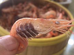 -东胜客河鲜店·西江河鲜·老字號渔家菜