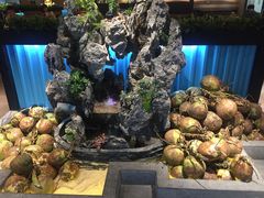 -东椰·海南椰子鸡火锅(朝阳门店)