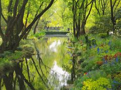 -上海共青森林公园