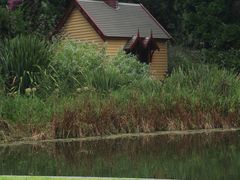 -墨尔本皇家植物园