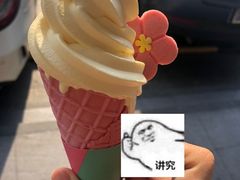 -楼兰印象(朝外店)