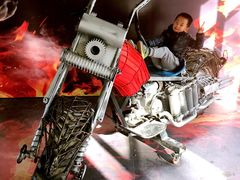 -上海长兴岛郊野公园