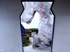 -朱家角课植园