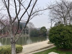 -红梅公园