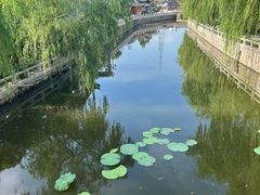 -水绘园