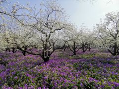 -江苏三台山国家森林公园