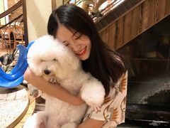 -more than meow吴止猫主题餐厅(承德 中船汇店)