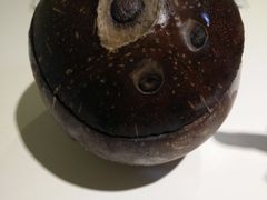 -志龙皇冠吃货椰子铺