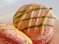 -蝶舍·MAISON PAPILLON