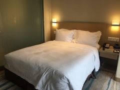 -都江堰中心国际酒店