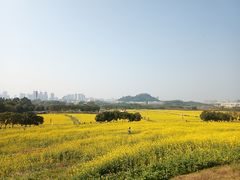 -光明小镇欢乐田园