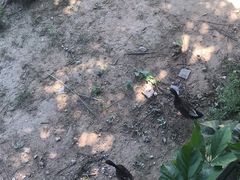-北京麋鹿生态实验中心