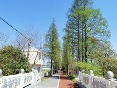 -上海长兴岛郊野公园