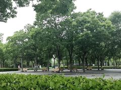 -南翔镇银翔湖公园
