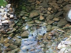 -活水公园