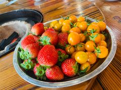 -侠成水上农庄(工业大道店)