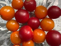 -上膳源有机农场