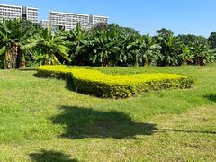 -广东花都湖国家湿地公园