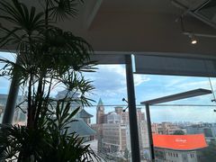 -大视光学•LINDBERG林德伯格•全球手工眼镜集合店(王府井店)