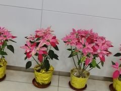 -中国工商银行(上海市桃林路支行)