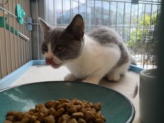 -猫的天空之城概念书店(北戴河蔚蓝海岸店)