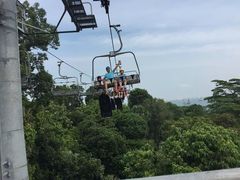 -圣淘沙天际线斜坡滑车
