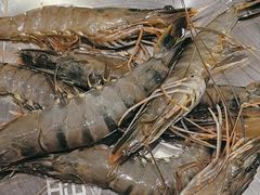 -姜胖胖无限自助烤肉(凯德天府店)