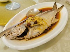 破布子午鱼-光头匠