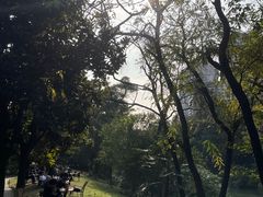 -塔子山公园
